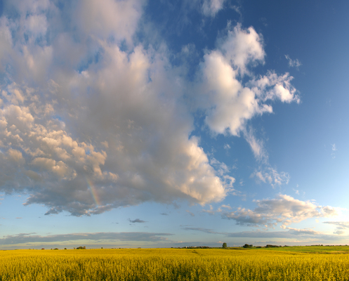 Big Sky north of Buffalo Pound : All Panoramas : Saskatchewan Panoramas