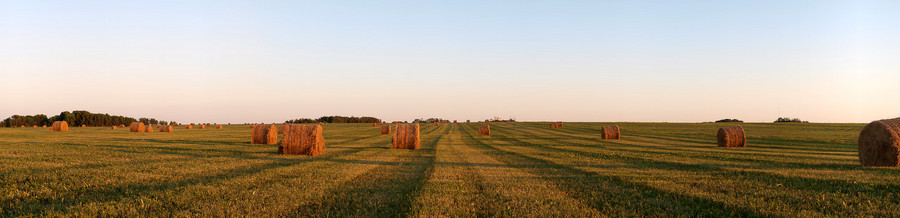 Bales at Grenfell Saskatchewan : All Panoramas : Saskatchewan Panoramas